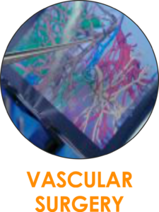 VASCULAR